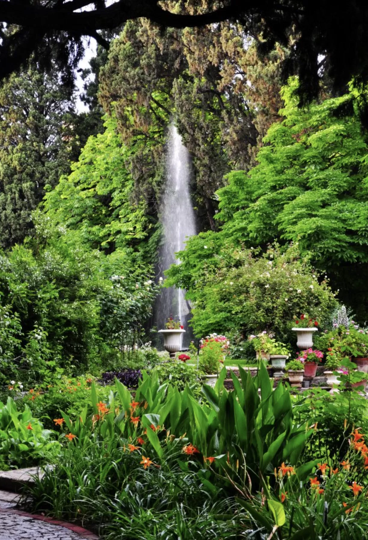 Edward Whittall Garden dış çekim, Bornova Whittall Köşkü düğün çekimi, İzmir dış çekim mekanları, Edward Köşkü fotoğraf çekimi, İzmir düğün fotoğrafçısı önerileri, Whittall Ailesi tarihi, İzmir davet mekanları, Bornova tarihi köşkler, Edward Whittall Garden düğün çekimi